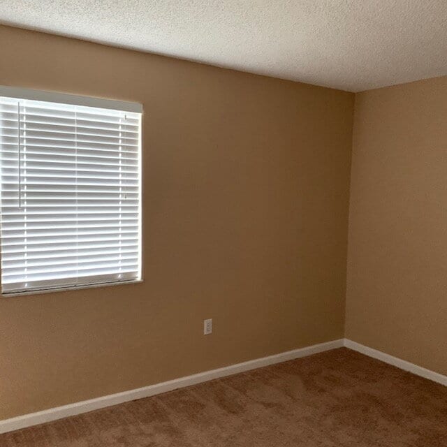 Building Photo - Two BD/1 Bath  Gated Pool Cmmunity Largo FL