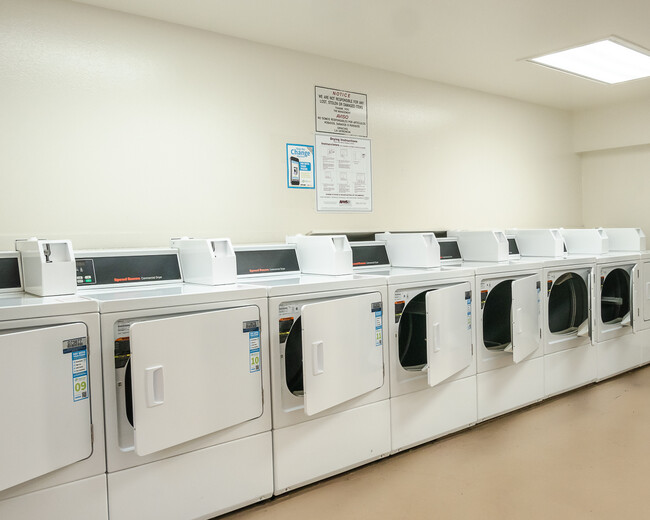 Laundry Room - Cameo Somerset Apartments