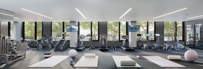 Obtenga Me mudo con equipamiento de última tecnología - Stella