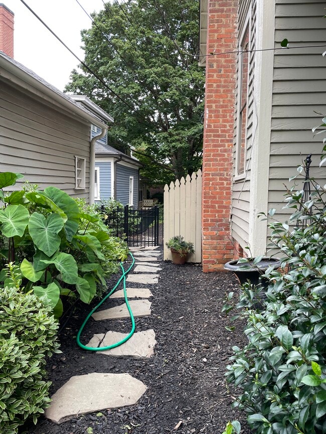 Meander down the side garden - 220 N Bloodworth St