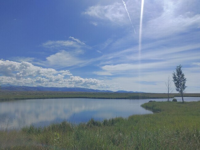 Foto del edificio - 256 E Fork Big Sandy Rd