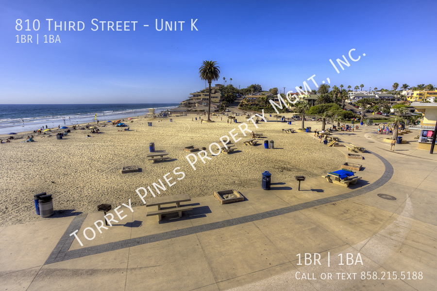 Primary Photo - 1 Bedroom in Amazing Beach Location with O...