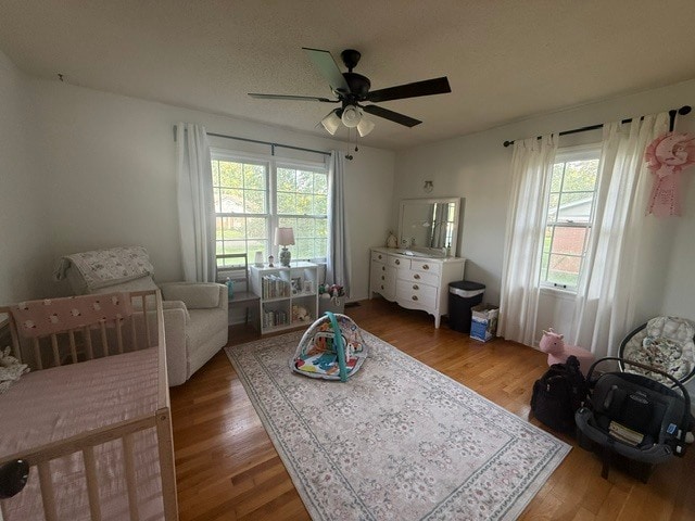 Foto del edificio - 4046 Ellis St