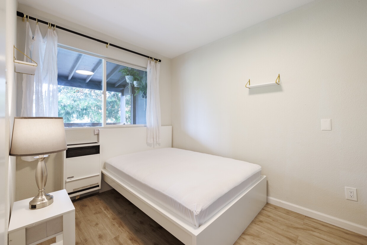 Photo - The Harmony Collective Apartments