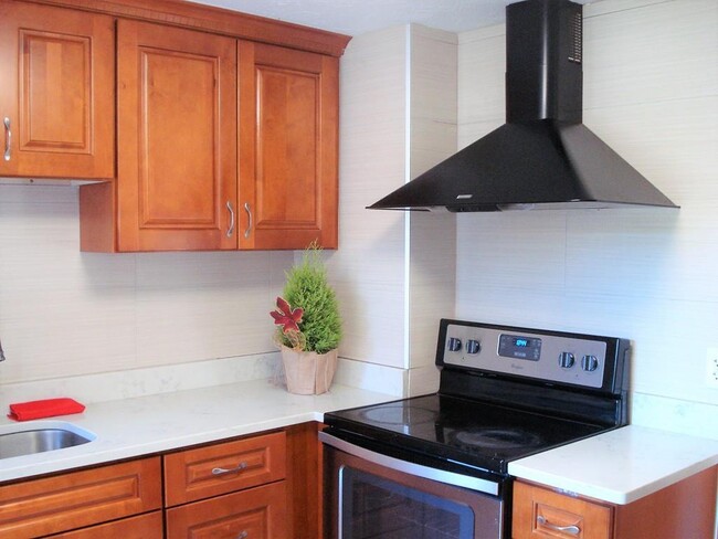 kitchen1 - 100 Emerson Gardens Rd