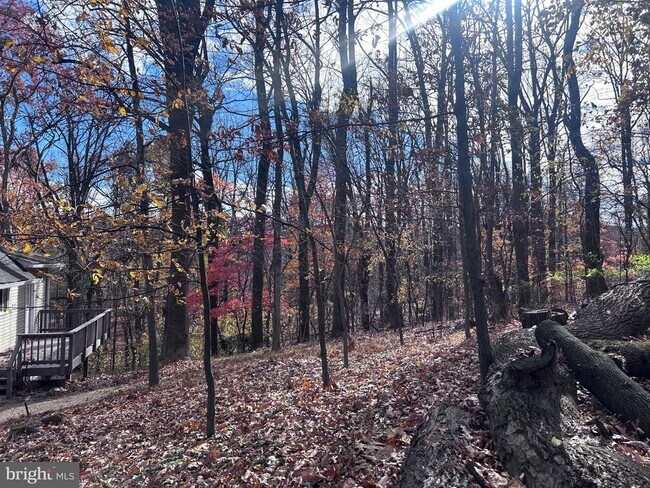 Foto del edificio - 132 Pinecrest Ln