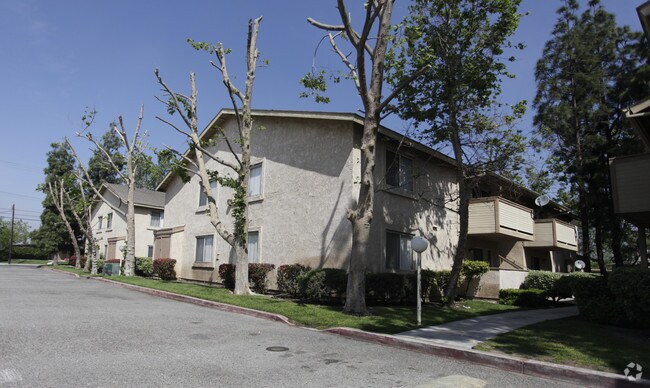 Mango Tree Apartments Fontana Ca Mango Tree Apartments