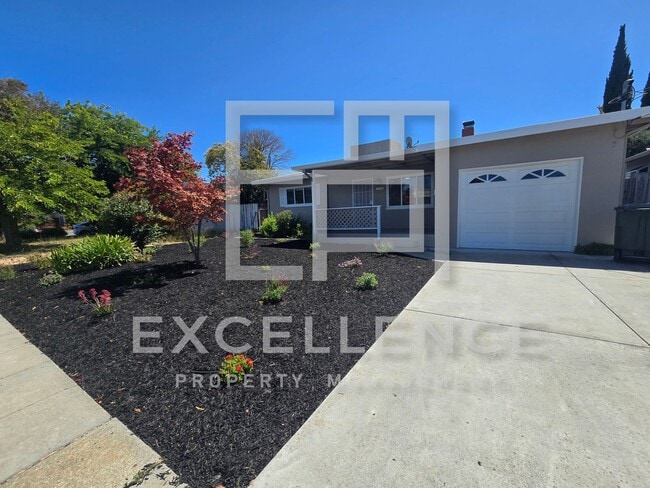 Freshly Updated, New Kitchen, Refinished R... - Freshly Updated, New Kitchen, Refinished R... House