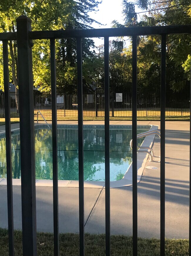 Community pool - 966 Borden Villa Dr