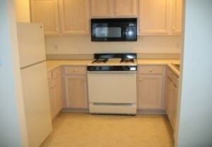 kitchen - 1008 Holliday Hills Dr