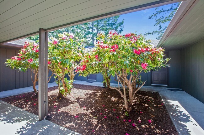 Foto del edificio - Edgewood Apartments