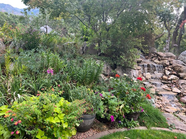 Beautiful Pondless Waterfall 15 ft from Patio - 2656 Oak Hills Dr