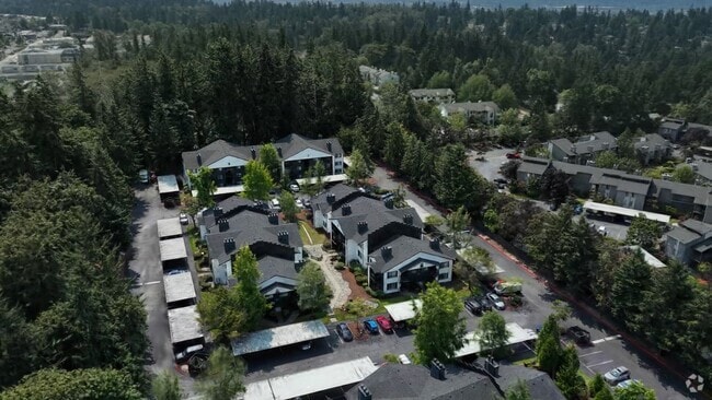  - ReNew Forest Creek