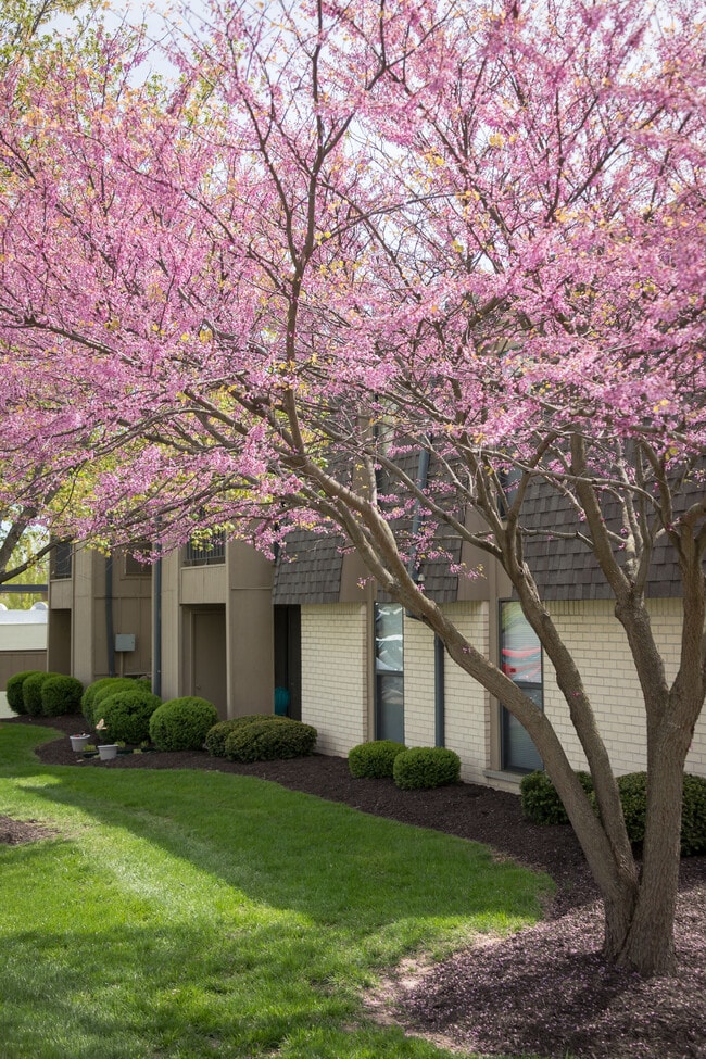 Foto del edificio - Chesterfield Place Apartments
