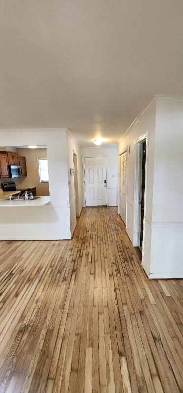 Foto del edificio - 461 Bramblewood Ln