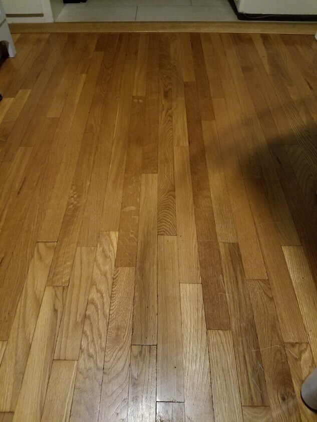 Pisos de madera noble - 147 N La Peer Dr