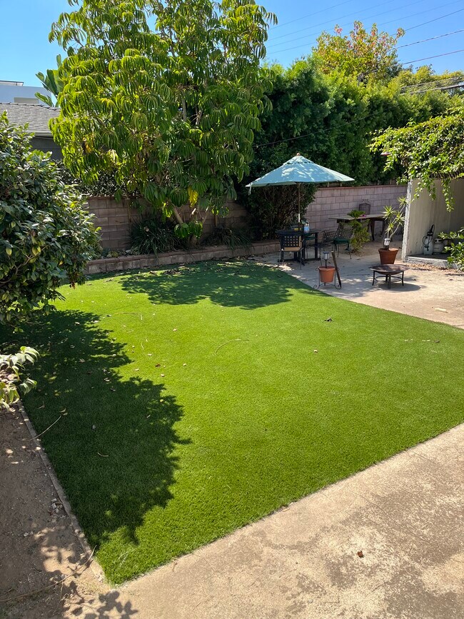 Backyard - 2227 Pearl St