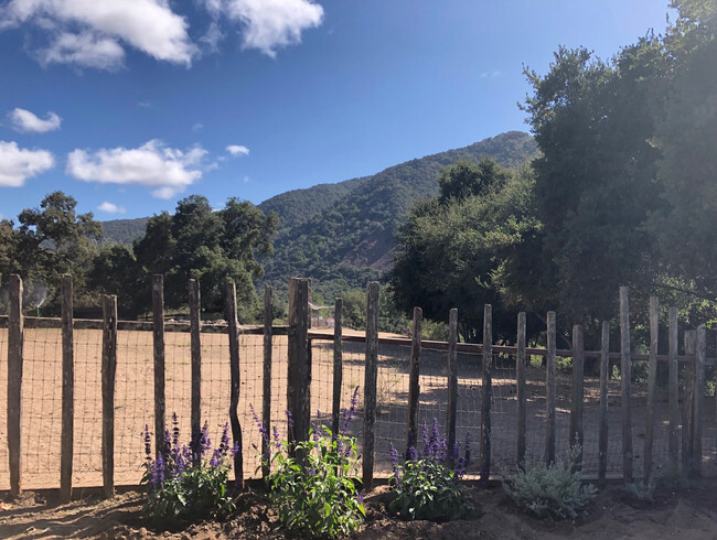 View from house in summer and fall. - 274 W Carmel Valley Rd