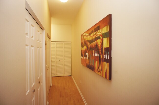 Entry / Closets - 2915 N Clybourn Ave