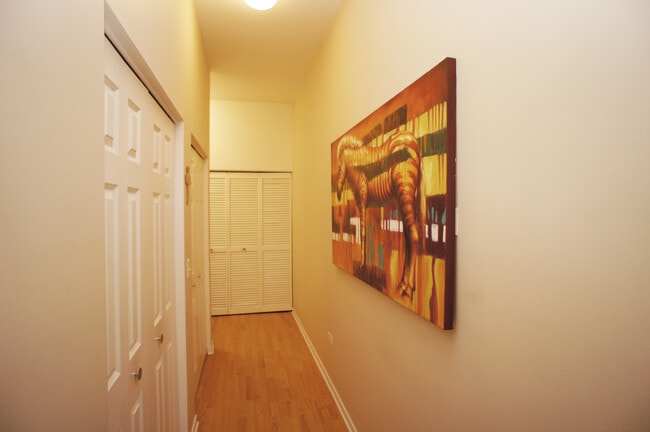 Entry / Closets - 2915 N Clybourn Ave
