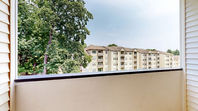 Interior Photo - Ridgewood