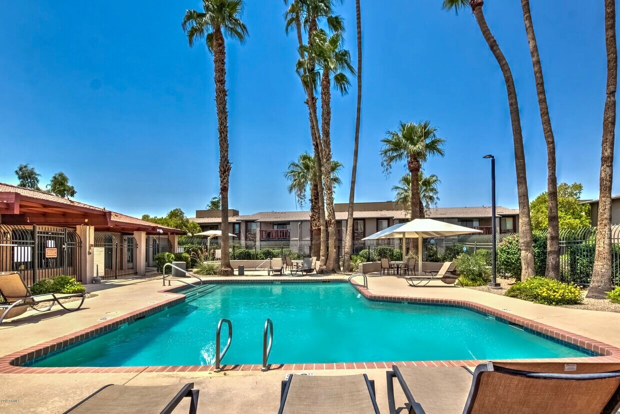 4354-n-82nd-st-unit-146-scottsdale-az-85251-condo-for-rent-in