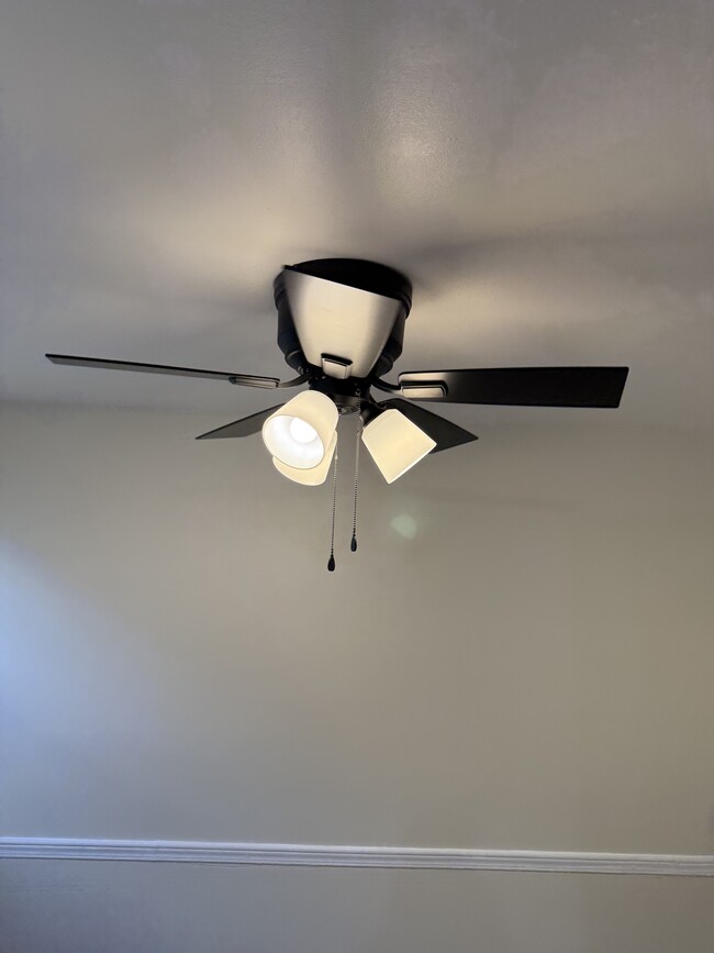 Dinning Room Ceiling Fan - 828 Maury Ave