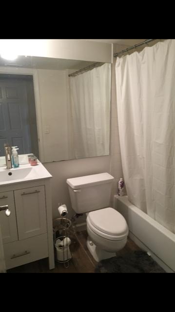 Second Bathroom - 1280 S Alhambra Cir