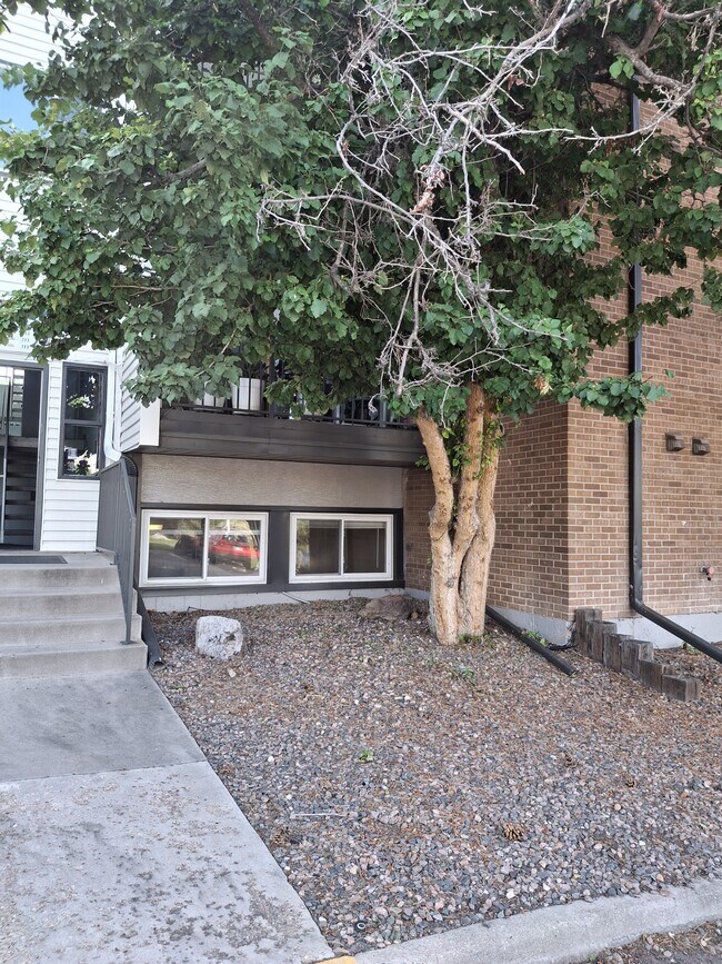 Building Photo - 451 Golden Cir