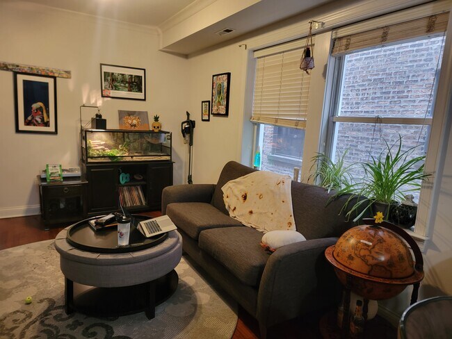 Foto del edificio - 7627 N Greenview Ave