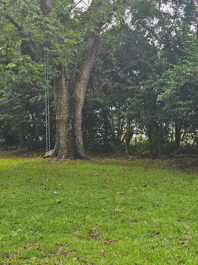 Building Photo - 859 Mill St