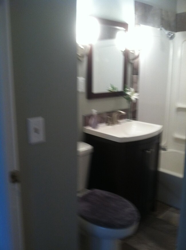 Main Bathroom - 1136 29th St