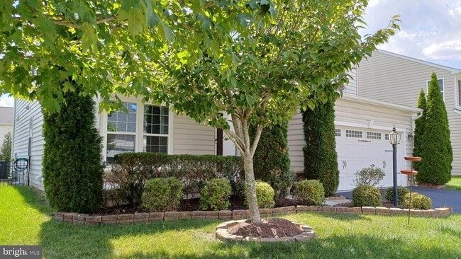 Photo - 25501 Emerson Oaks Dr House