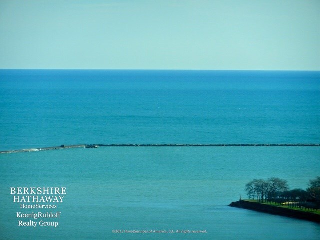Foto del edificio - 910 N Lake Shore Dr