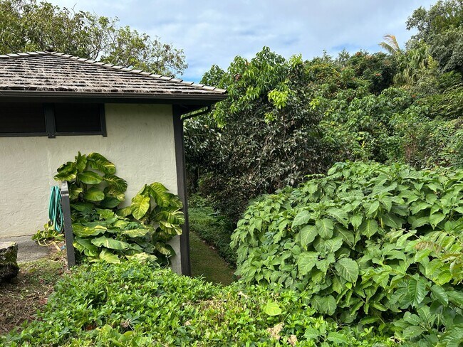 Foto del edificio - Rare Detached 1BR Sanctuary in Princeville