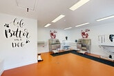 Located at 2750 Millerville Rd in Baton Rouge, Louisiana, this purpose-built pet grooming facility offers a clean, welcoming, and fully equipped environment for pet care services. The single-floor space is thoughtfully designed with a bright, open layout that maximizes functionality and comfort for both pets and their owners.

The interior features a striking orange epoxy floor that contrasts boldly with the crisp white walls, creating a vibrant and easy-to-clean environment. Overhead, rows of flush-mounted fluorescent lighting ensure the entire space is evenly and brightly illuminated. Playful pet-themed wall decals — including "Dog Wash" graphics and the motivational phrase "Life is Better with a Dog" — lend a fun, inviting atmosphere throughout.

The grooming area is equipped with multiple stainless steel dog wash tubs fitted with steps for easy pet access, alongside adjustable grooming tables and wall-mounted pet dryers, providing a professional-grade setup. Anti-fatigue rubber matting surrounds the wash stations for safety and comfort.

The reception and waiting area near the entrance features French doors that flood the space with natural light and offer views of the surrounding greenery. A cubbied retail display unit stocked with colorful pet accessories, wall-mounted leash hooks, and built-in benches complete this welcoming front area, making it both practical and aesthetically cohesive for a pet grooming business.