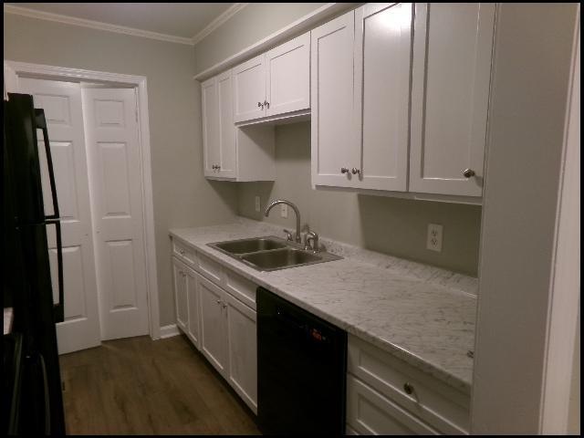 Building Photo - 1813 Sanford Dr