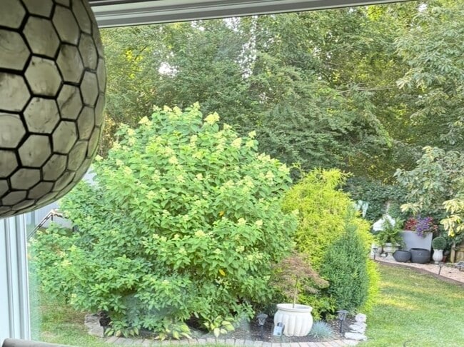 Building Photo - 1044 Hummingbird Ln