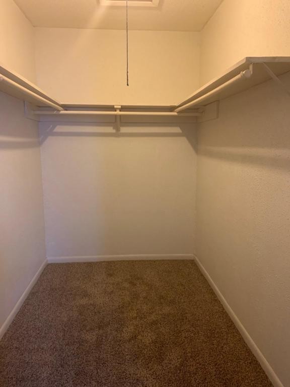 Building Photo - 3408 Maplewood Drive,  #10