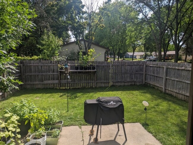 Back yard - 1237 Shepherds Path