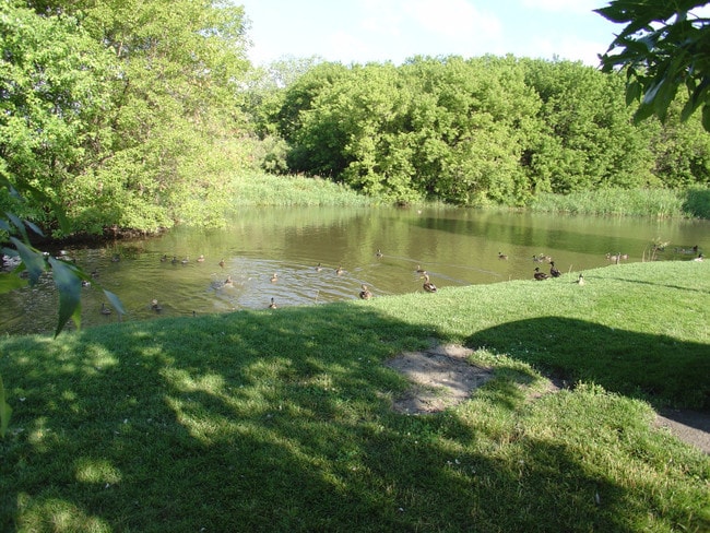 Beautiful Sussex Views - Maple Grove Associates, LLP
