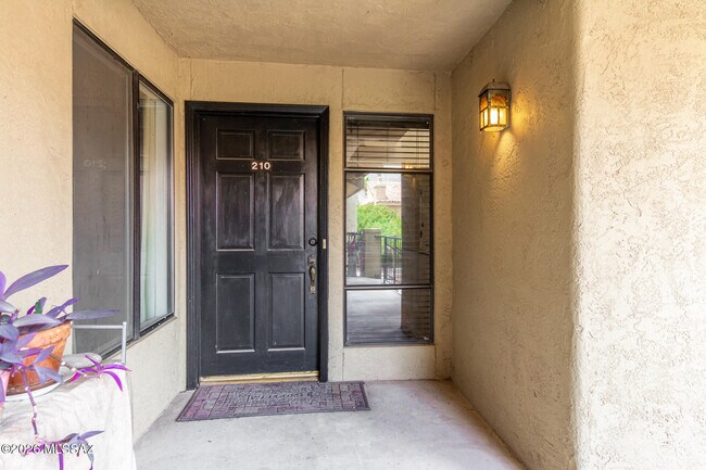 Foto del edificio - 8255 N Oracle Rd