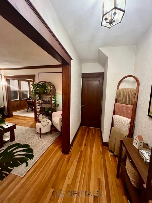 Photo - 33 Evans St Apartment