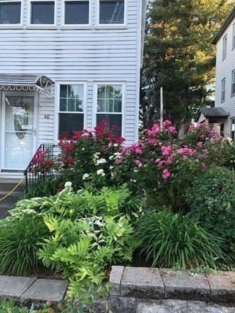 Primary Photo - 40 Ames St