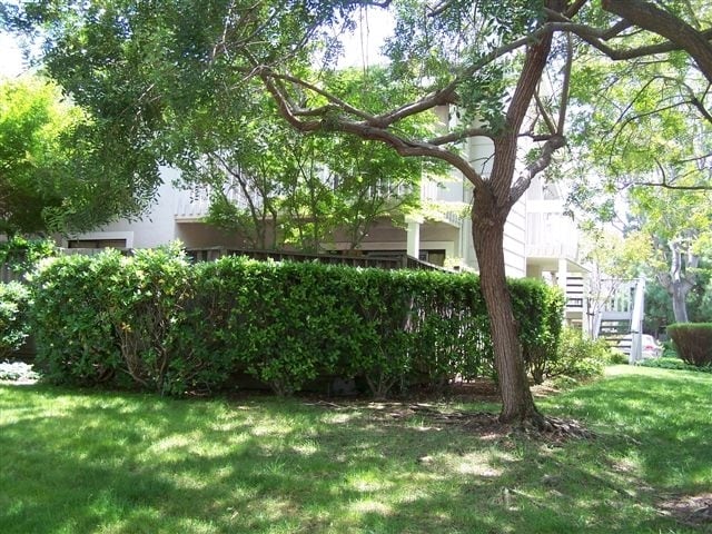 Patio interior - 4977 Conway Terrace