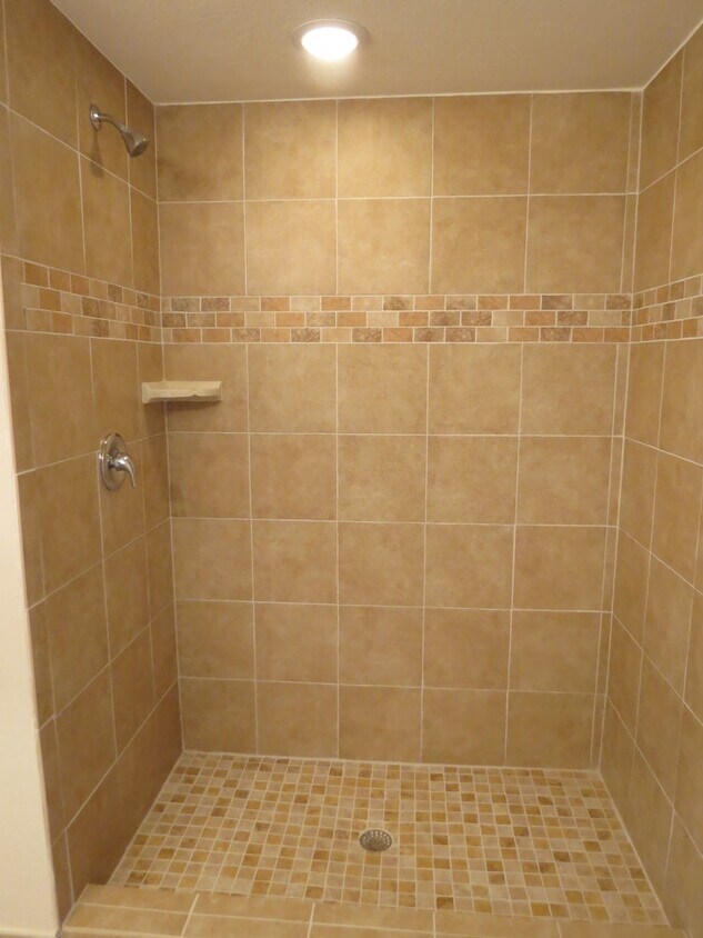 Palmesta Master Shower - 27480 Palmesta Circle, Unit 34