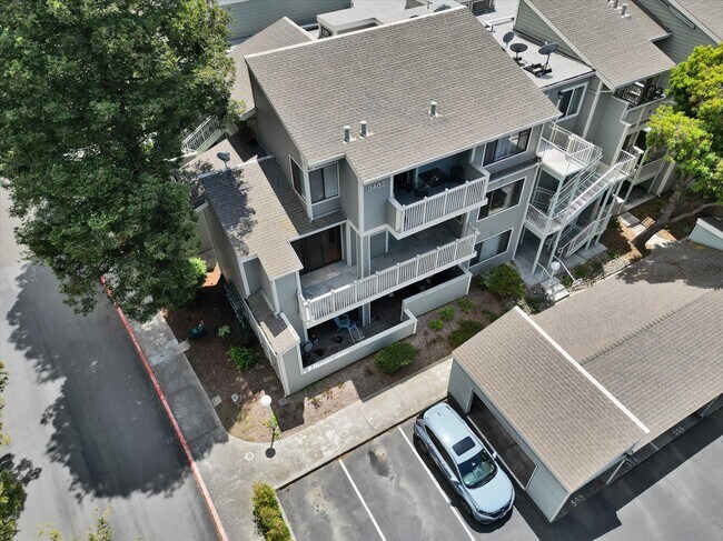 Building Photo - 3402 Pinewood Terrace