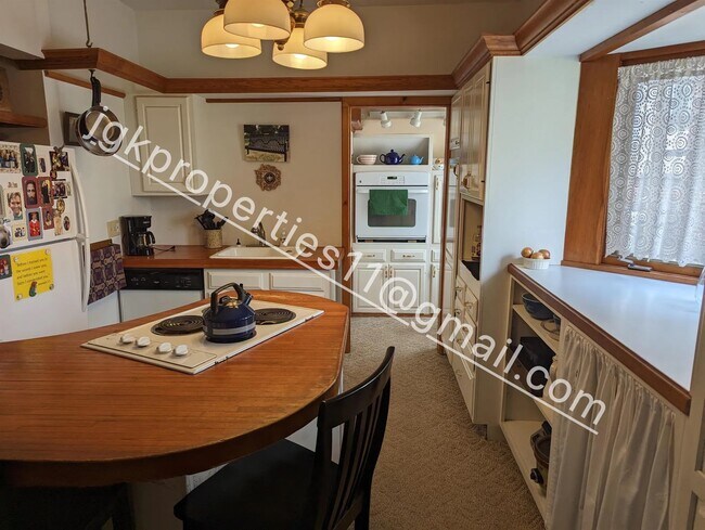 Kitchen - Butcher block counter and dishwasher - 301 N Genesee St