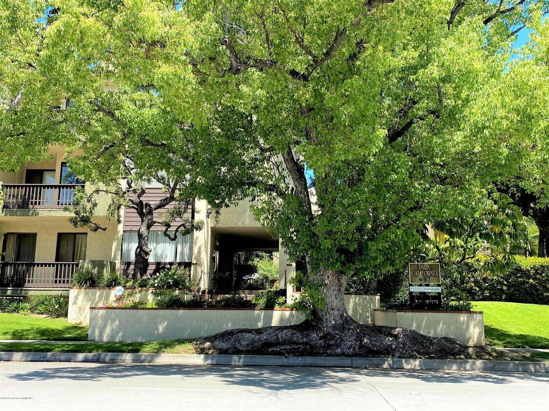 Primary Photo - 497 E California Blvd