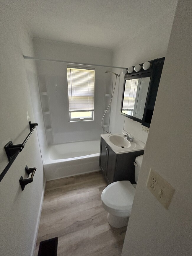 Brand new bathroom - 623 W Detweiller Dr